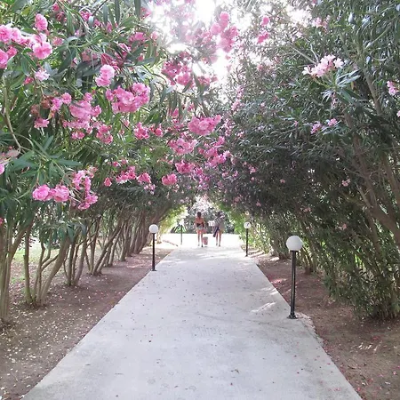 Pyli Bay Marmari (Kos)